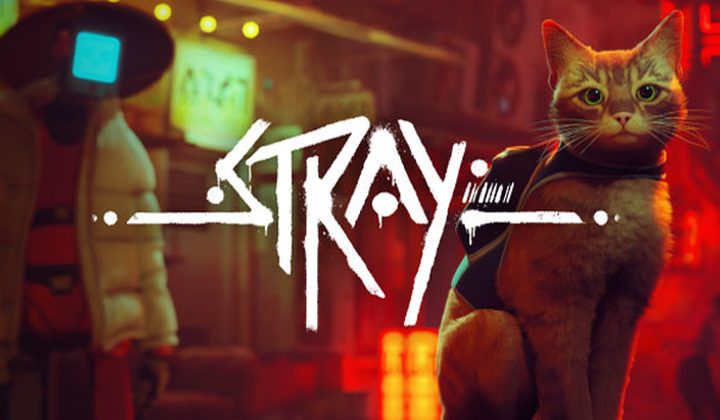 Stray